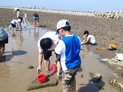 -南汇嘴观海公园