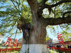 -新安江山水画廊风景区