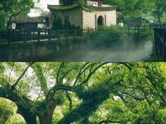 -古堰画乡景区
