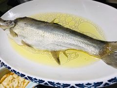 鸡汁白鱼-南京大牌档(济南万象城店)