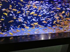 -成都浩海立方海洋公园