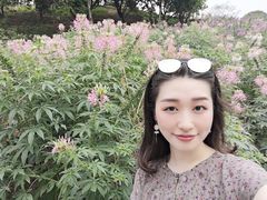 -松山湖梦幻百花洲