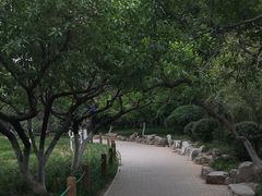 -济南植物园