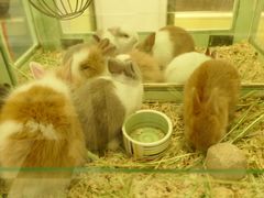 -龙猫仔乐园(惠福东路店)