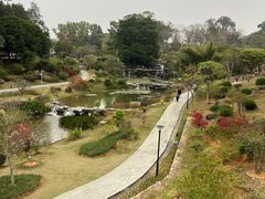 -东莞植物园