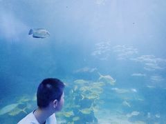 -左海海底世界