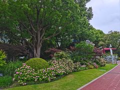 -北外滩滨江绿地