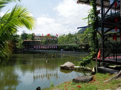 -呀诺达热带雨林