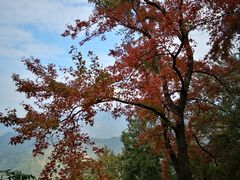 -广州市石门国家森林公园