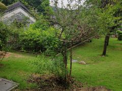 -广州神农草堂中医药博物馆