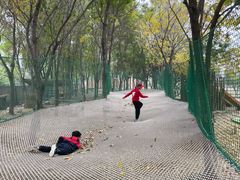 -圣露庄园·亲子活动乐园·露营·团建婚礼