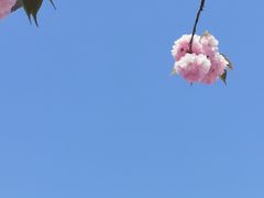 -卓橙广告(三湘商业广场店)