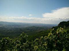 -丹东市五龙山风景区