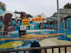 -海合安成都极地海洋公园