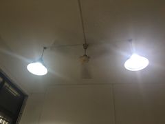 大堂-清真·马峰烤肉(小学习北巷店)