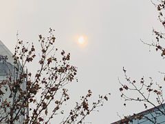 -洪家楼教堂