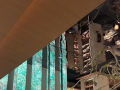 -桂满陇·海市蜃楼·黑金(国金店)