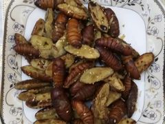 -好孕妈妈月嫂(哈尔滨总店)