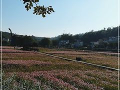 -红山村