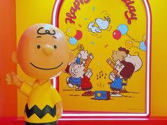 -九木杂物社(中心店)