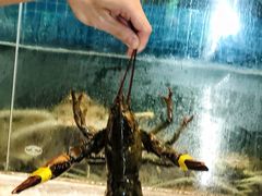 -碗中海·蒸汽海鲜·桑拿鸡(岭南天地店)