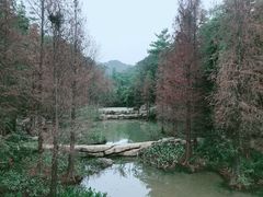 -云溪植物园