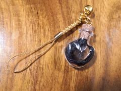 -翡翠森林宠物火化殡葬(通州店)