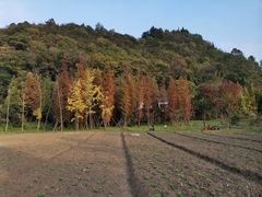 -贵阳市花溪国家城市湿地公园