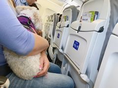 -奥兰多环球影城