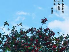 -汇龙潭