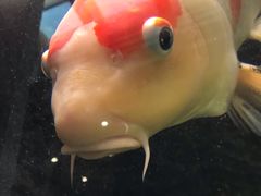 -弘安丽水温泉酒店