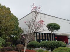 -八大山人梅湖景区