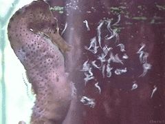 -沈阳海洋探索中心