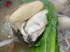 -花苑美食横琴生蚝火锅(拱北粤华路店)