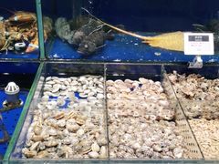 水产区-高佳庄·舟山海鲜(海景旗舰店)