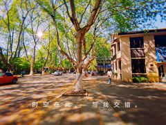 -也枫·小黄楼(南山路旗舰店)