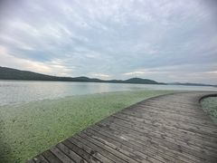 -水上明月·湖景餐厅
