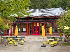 -宫事颐庭·老佛爷贵寿下午茶(颐和园店)