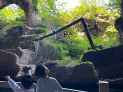 -蛇蟠岛