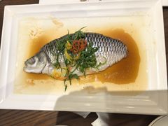 -常胜鲍鱼(吉大店)