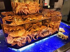 -蟹道乐(道顿堀本店)