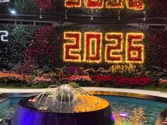-广州白云国际机场-T2航站楼
