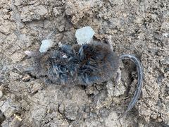 -终南山南五台景区