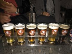 -Boxing Cat Brewery拳击猫精酿啤酒馆(永福店)