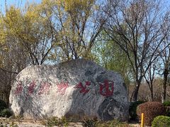 -西青郊野公园
