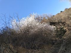 -终南山南五台景区