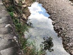 -楠溪江石桅岩