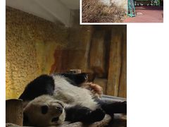 -常州淹城野生动物世界