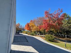 -长春世界雕塑园冰雪艺术天地