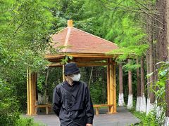 -艾溪湖湿地公园